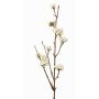 Deko Liebesperlenstrauch Zweig LARINA mit Beeren, creme, 50cm