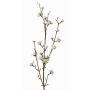 Deko Liebesperlenstrauch Zweig LARINA mit Beeren, creme, 70cm