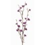 Deko Liebesperlenstrauch Zweig LARINA mit Beeren, violett, 70cm