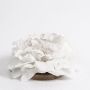 Deko Pfingstroseblüte MEGAN, treibend, creme, Ø15cm