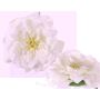 Deko Rosenblüte SASKIA, treibend, creme, 5cm, Ø15cm
