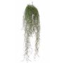 Deko Tillandsia Usneoides LITA, Stecker, crossdoor, grün, 75cm