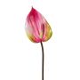 Kunstblume Flamingoblume GRUNT, rosa, 75cm