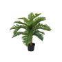 Dekopalme Cycas ELYON, 70cm