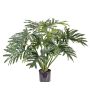 Kunst Philodendron Selloum SILAS, 80cm