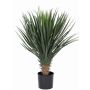 Deko Yucca Rostrata DRAKE, 80cm