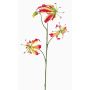 Deko Gloriosa TIANA, pink-gelb, 85cm, Ø9-10cm