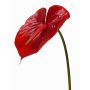 Kunstblume Flamingoblume MOIRA, rot, 75cm, 13x18cm