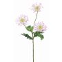 Deko Chrysantheme SOLVIE, weiß-rosa, 75cm, Ø11-12cm