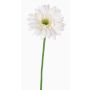 Künstliche Gerbera HELLI, creme, 65cm, Ø12cm
