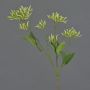 Deko Hartriegel Zweig JOSIA mit Knospen, hellgrün, 50cm, Ø4-7cm