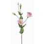 Kunst Lisianthus JUDIKA, rosa-weiß-grün, 70cm, Ø6-7cm