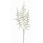 Deko Asparagus acutifolius Zweig JOCHEN, grün, 70cm