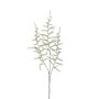 Deko Asparagus acutifolius Zweig JOCHEN, grün, 70cm