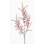 Deko Asparagus acutifolius Zweig JOCHEN, orange, 70cm