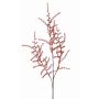 Deko Asparagus acutifolius Zweig HANS, orange, 70cm