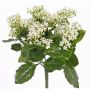 Künstliche Kalanchoe LORRE zum Stecken, crossdoor, weiß, 35cm, Ø30cm