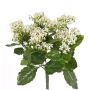 Künstliche Kalanchoe LORRE zum Stecken, crossdoor, weiß, 35cm, Ø30cm