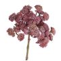 Plastik Sedum DANICA, dunkelrot, 20cm, Ø10cm
