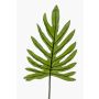 Dekoblatt Philodendron Selloum GINO, 100cm