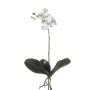 Unechte Orchidee Phalaenopsis FAO zum Stecken, weiß, 45cm