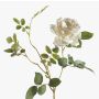 Künstlicher Zweig Rose BEATA, creme, 75cm