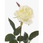 Plastik Rose BRINA, weiß, 75cm, Ø9cm