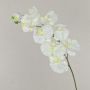 Künstliche Blume groß Phalaenopsis Orchideen Zweig ANAT, weiß, 95cm, Ø9-11,5cm