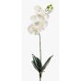 Plastik Orchidee Phalaenopsis ISIS, Stecker, weiß, 60cm