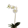 Plastik Orchidee Phalaenopsis ISIS, Stecker, weiß, 60cm
