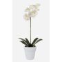 Plastik Orchidee Phalaenopsis ISIS, Keramiktopf, weiß, 55cm