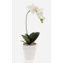 Plastik Orchidee Phalaenopsis ISIS, Keramiktopf, weiß, 40cm