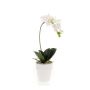 Plastik Orchidee Phalaenopsis ISIS, Keramiktopf, weiß, 40cm