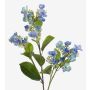 Hortensie unecht ALAZNE, blau, 75cm