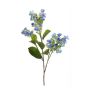 Hortensie unecht ALAZNE, blau, 75cm