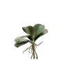 Dekoblätter Phalaenopsis Orchidee NEFTIS, grün, 30cm