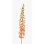 Künstliche Blume groß Steppenkerzen SELINA, rosa-creme, 105cm, Ø9cm