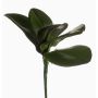 Künstliche Phalaenopsis Orchideenblätter NIUT, Stecker, grün, 25cm
