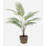 Künstliche kleine Palme Bergpalme ALUVIAL im Terracottatopf, 85cm