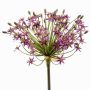 Allium künstlich BRAIS, violett, 90cm, Ø24cm