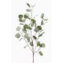 Eukalyptus Kunstzweig COLTON, grün-grau, 85cm