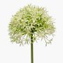 Allium künstlich ARNAU, creme-grün, 60cm, Ø10cm
