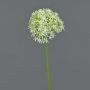 Allium künstlich ARNAU, creme-grün, 60cm, Ø10cm