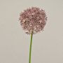 Allium künstlich ARNAU, altlila, 60cm, Ø10cm
