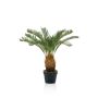 Kunst Cycas Revoluta Palme YAKUMO, 60cm