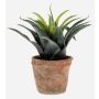 Künstliche Agave decipiens SEDA im Terracottatopf, grün, 20cm, Ø25cm