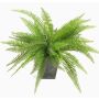 Künstlicher Farn Boston Farn REMY im Dekotopf, grün, 30cm