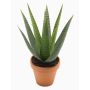 Kunst Sukkulente Aloe Variegata MARTINEZ, Tontopf, grün, 30cm, Ø17cm