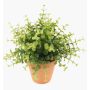 Künstliche Kräuter Eukalyptus JOSHUA im Tontopf, grün, 20cm, Ø17cm