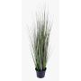Künstliches Gras Fuchsschwanzgras SAMMI, grün, 50cm